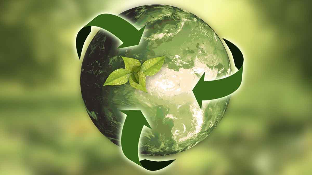 Green-Marketing: Wie das Online-Marketing den Nachhaltigkeitsgedanken vorantreibt
