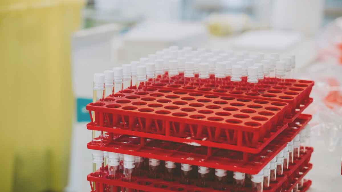 BioNTech: Zwischen Impfstoffen und Krebstherapien